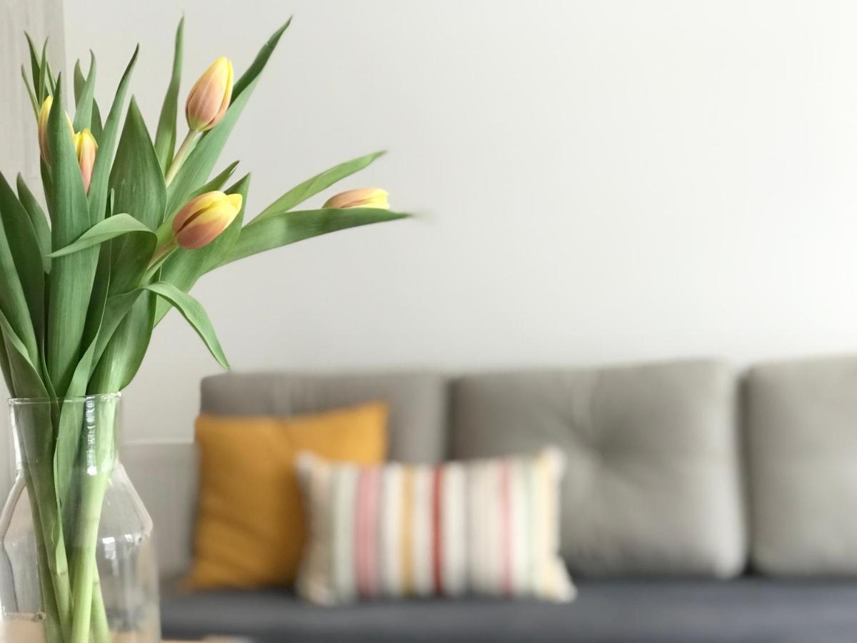 Apartament Czechowska Luxury ルブリン エクステリア 写真